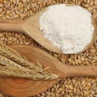 Jav (Barley) Flour